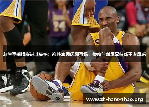 老詹赛季精彩进球集锦：巅峰表现闪耀赛场，传奇时刻尽显篮球王者风采