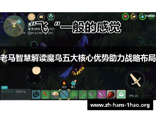 老马智慧解读魔鸟五大核心优势助力战略布局