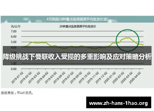 降级挑战下曼联收入受损的多重影响及应对策略分析 降级挑战下曼联收入受损的多重影响及应对策略分析
