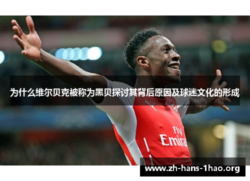 为什么维尔贝克被称为黑贝探讨其背后原因及球迷文化的形成 为什么维尔贝克被称为黑贝探讨其背后原因及球迷文化的形成