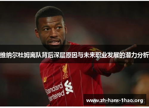 维纳尔杜姆离队背后深层原因与未来职业发展的潜力分析